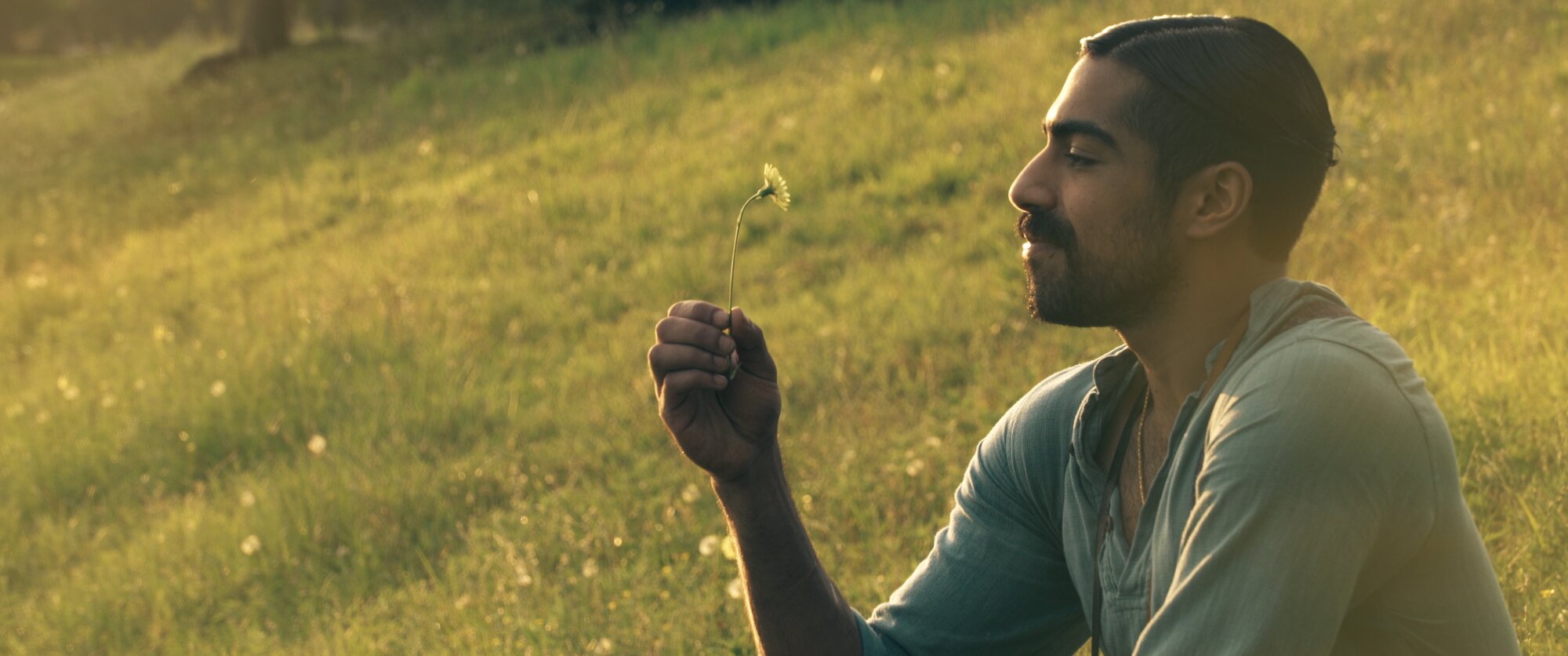 Harry contemplating a dandelion in a field