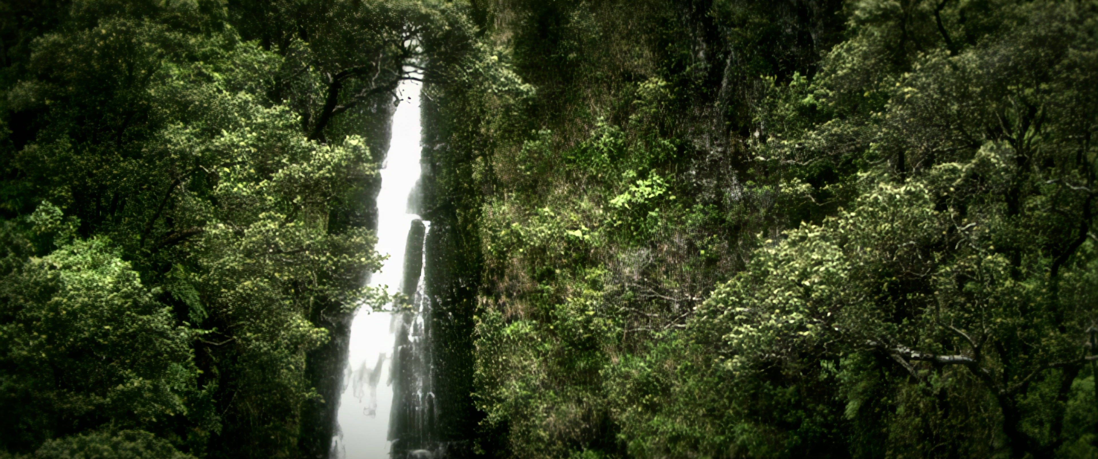 Waterfall in a forest &mdash; I Believe establishing shot