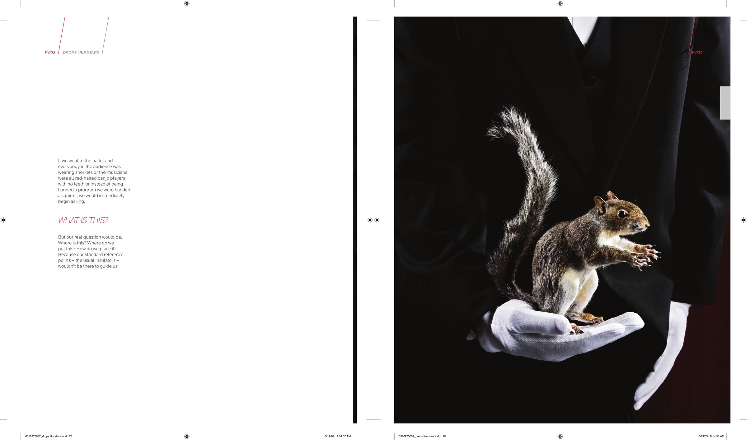 Drops Like Stars by Rob Bell — two-page spread, pages 28 and 29, featuring Taylor Gahm's commissioned photograph.