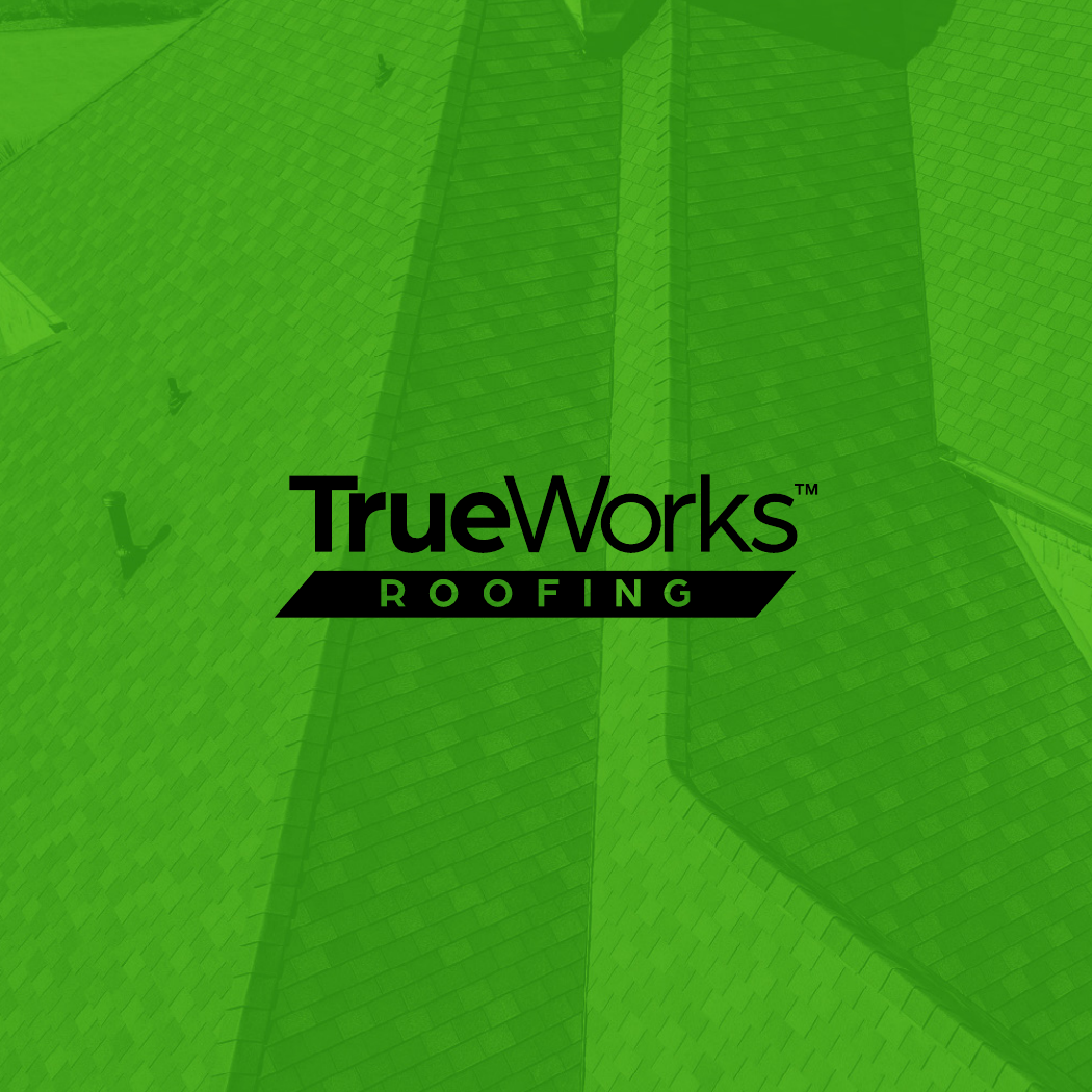 TrueWorks brand guidelines &mdash; cover